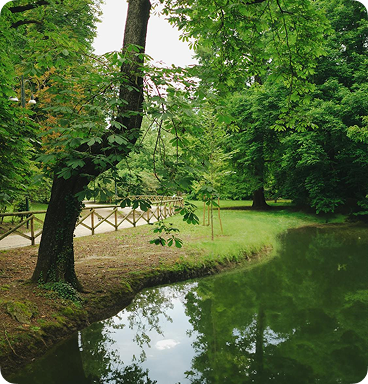 parco con lago